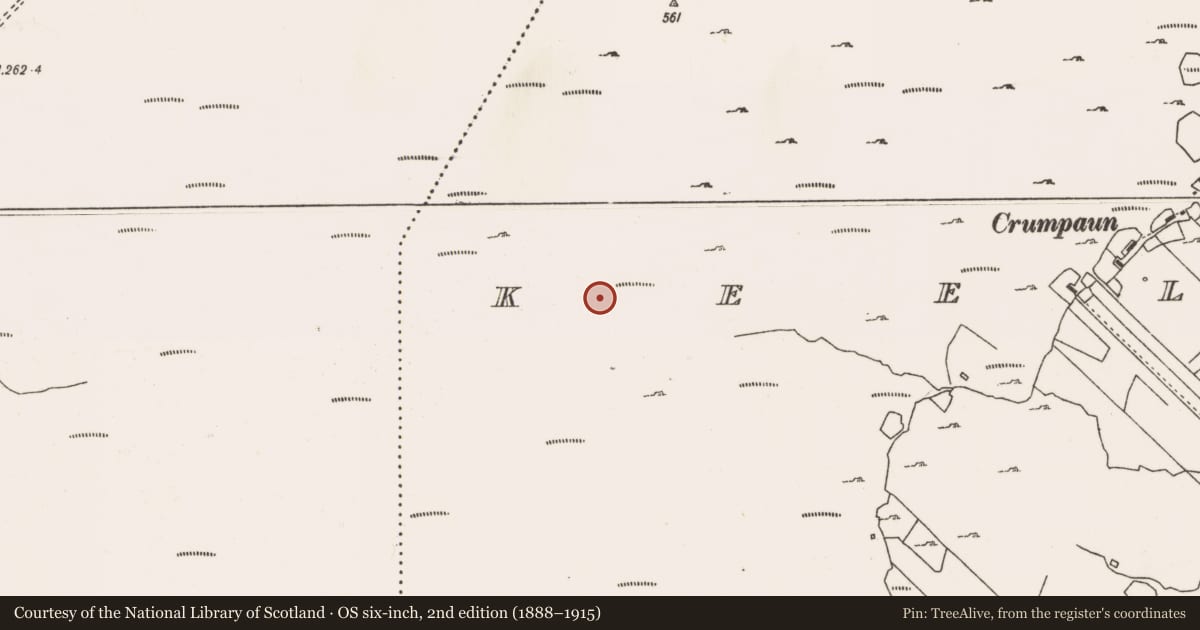 Ordnance Survey six-inch map, 2nd edition (1888–1915) covering the location of Megalithic tomb - unclassified, Keel East, County Mayo, with a pin at the register's coordinates