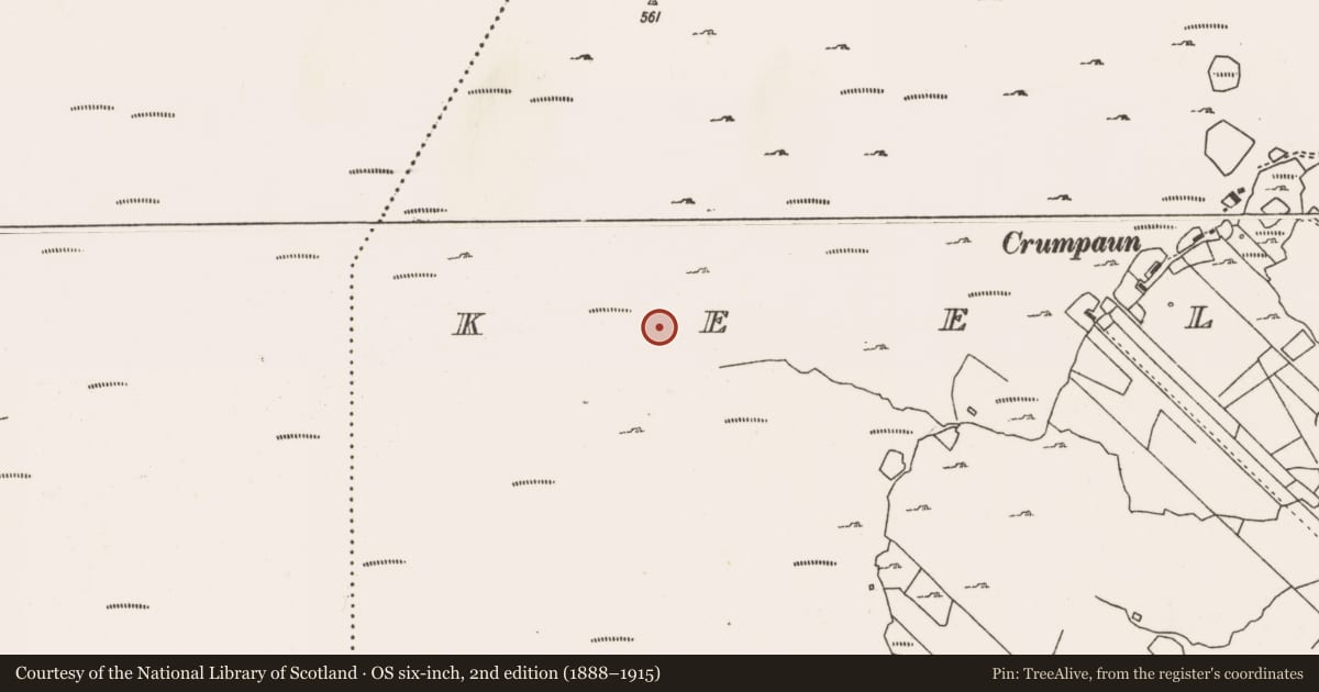 Ordnance Survey six-inch map, 2nd edition (1888–1915) covering the location of Cairn - unclassified, Keel East, County Mayo, with a pin at the register's coordinates