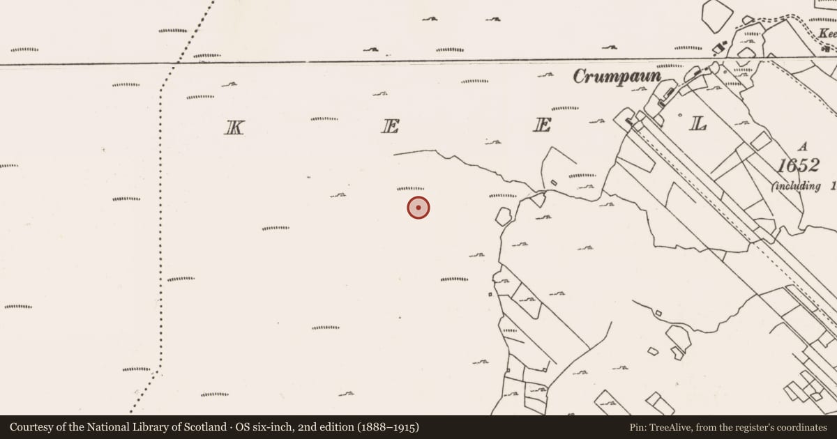 Ordnance Survey six-inch map, 2nd edition (1888–1915) covering the location of Standing stone, Keel East, County Mayo, with a pin at the register's coordinates