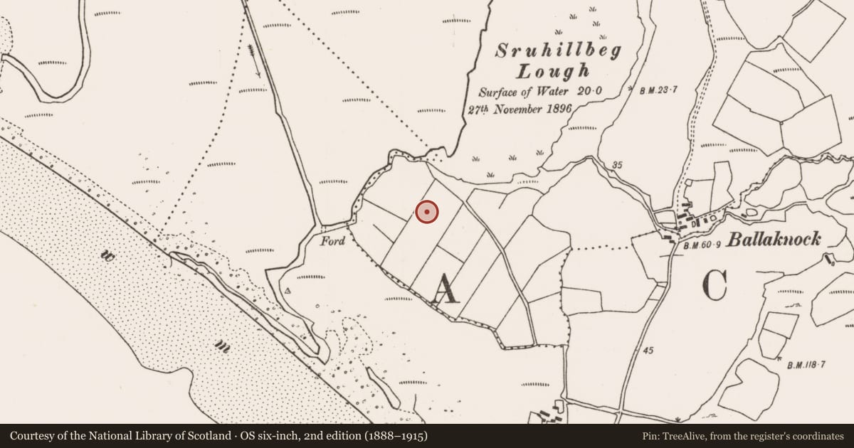 Ordnance Survey six-inch map, 2nd edition (1888–1915) covering the location of Midden, Dookinelly (Calvy), County Mayo, with a pin at the register's coordinates