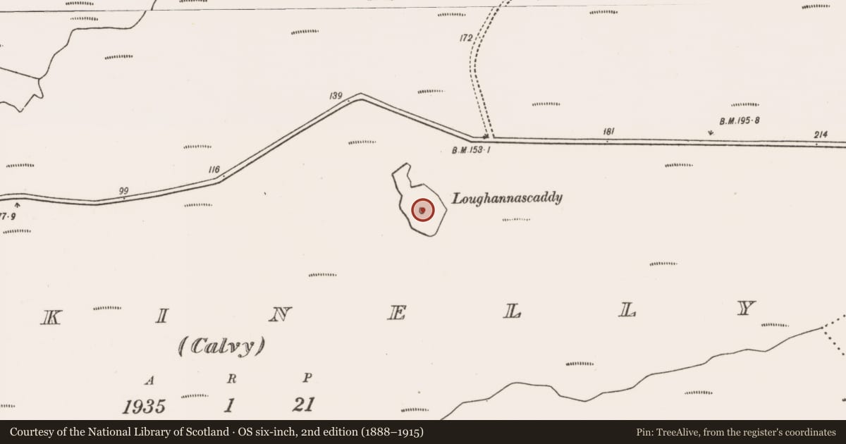 Ordnance Survey six-inch map, 2nd edition (1888–1915) covering the location of Crannog, Dookinelly (Calvy), County Mayo, with a pin at the register's coordinates