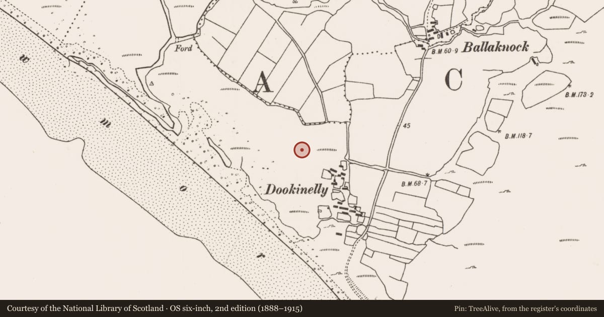 Ordnance Survey six-inch map, 2nd edition (1888–1915) covering the location of Settlement cluster, Dookinelly (Thulis), County Mayo, with a pin at the register's coordinates
