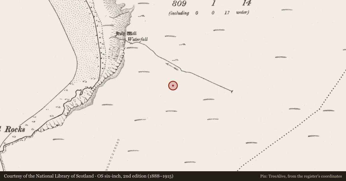 Ordnance Survey six-inch map, 2nd edition (1888–1915) covering the location of Road - road/trackway, Dookinelly (Thulis), County Mayo, with a pin at the register's coordinates