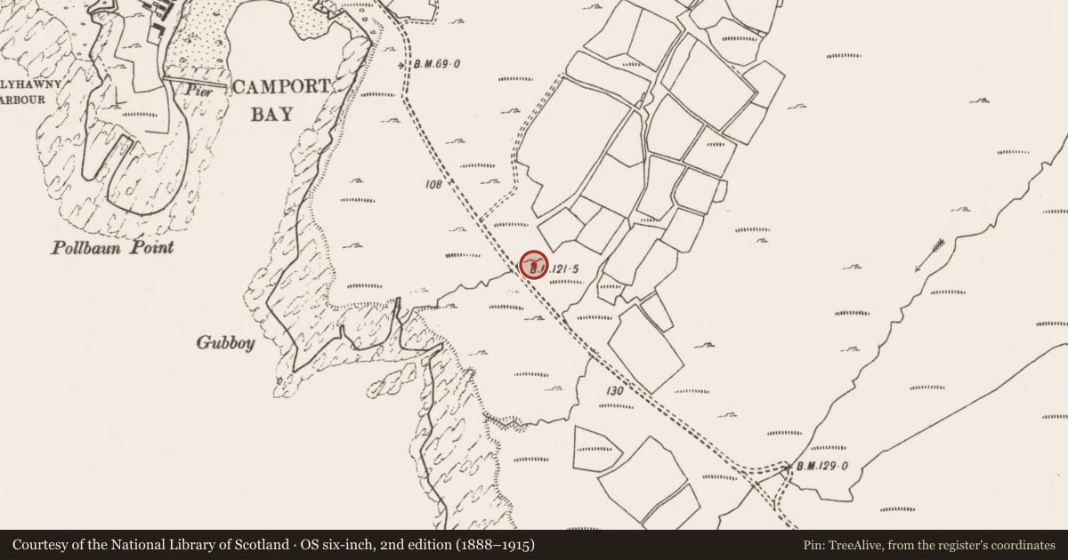 Ordnance Survey six-inch map, 2nd edition (1888–1915) covering the location of Hut site, Dumha Éige, County Mayo, with a pin at the register's coordinates