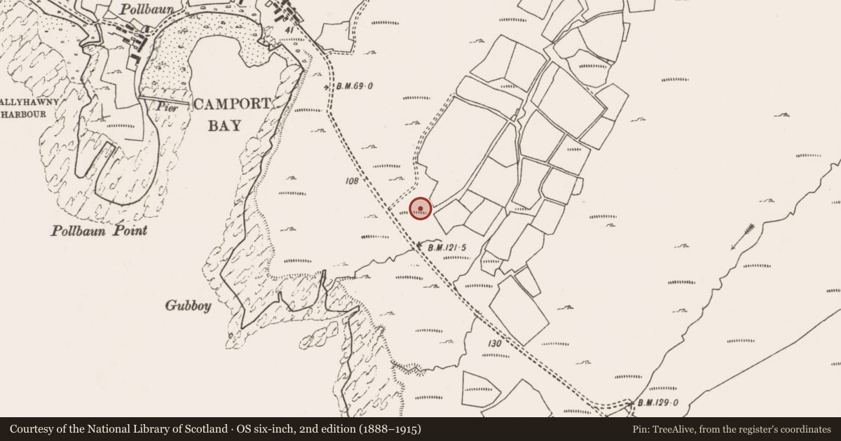 Ordnance Survey six-inch map, 2nd edition (1888–1915) covering the location of Hut site, Dumha Éige, County Mayo, with a pin at the register's coordinates
