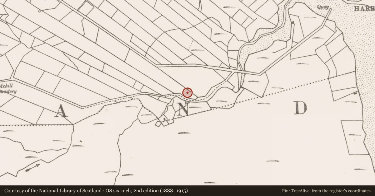 Ordnance Survey six-inch map, 2nd edition (1888–1915) covering the location of Enclosure, Bun An Churraigh, County Mayo, with a pin at the register's coordinates