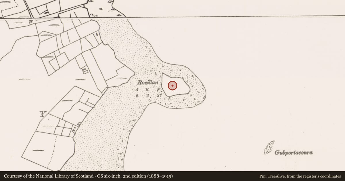 Ordnance Survey six-inch map, 2nd edition (1888–1915) covering the location of Enclosure, Bun An Churraigh, County Mayo, with a pin at the register's coordinates