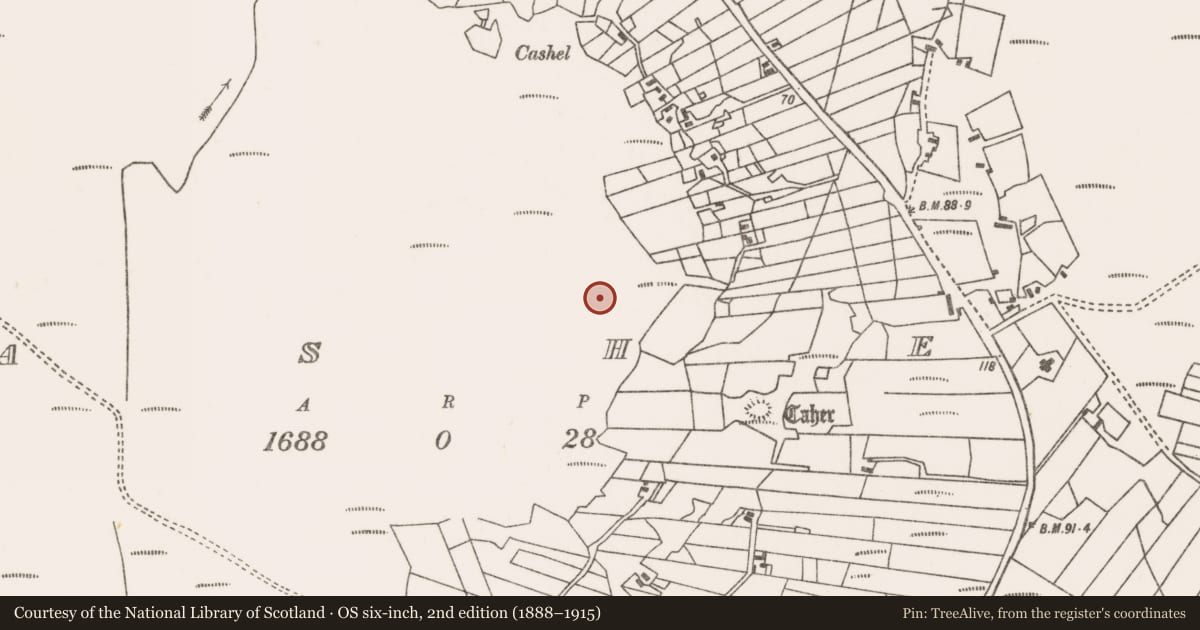Ordnance Survey six-inch map, 2nd edition (1888–1915) covering the location of Ritual site - holy well, An Caiseal, County Mayo, with a pin at the register's coordinates