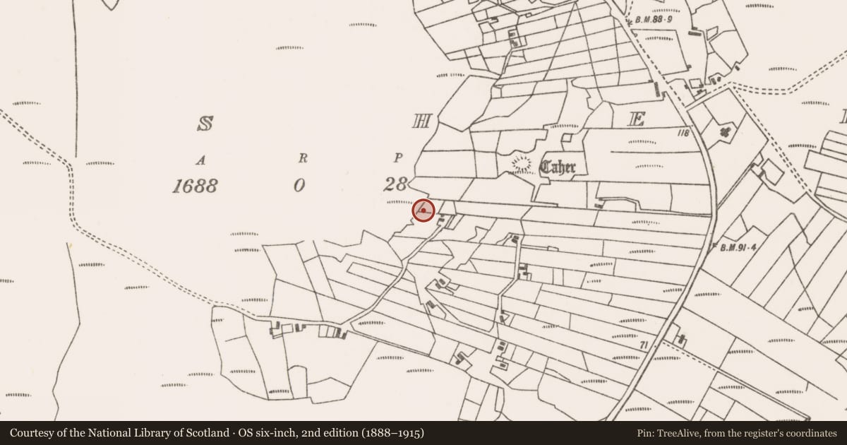 Ordnance Survey six-inch map, 2nd edition (1888–1915) covering the location of House - indeterminate date, An Caiseal, County Mayo, with a pin at the register's coordinates
