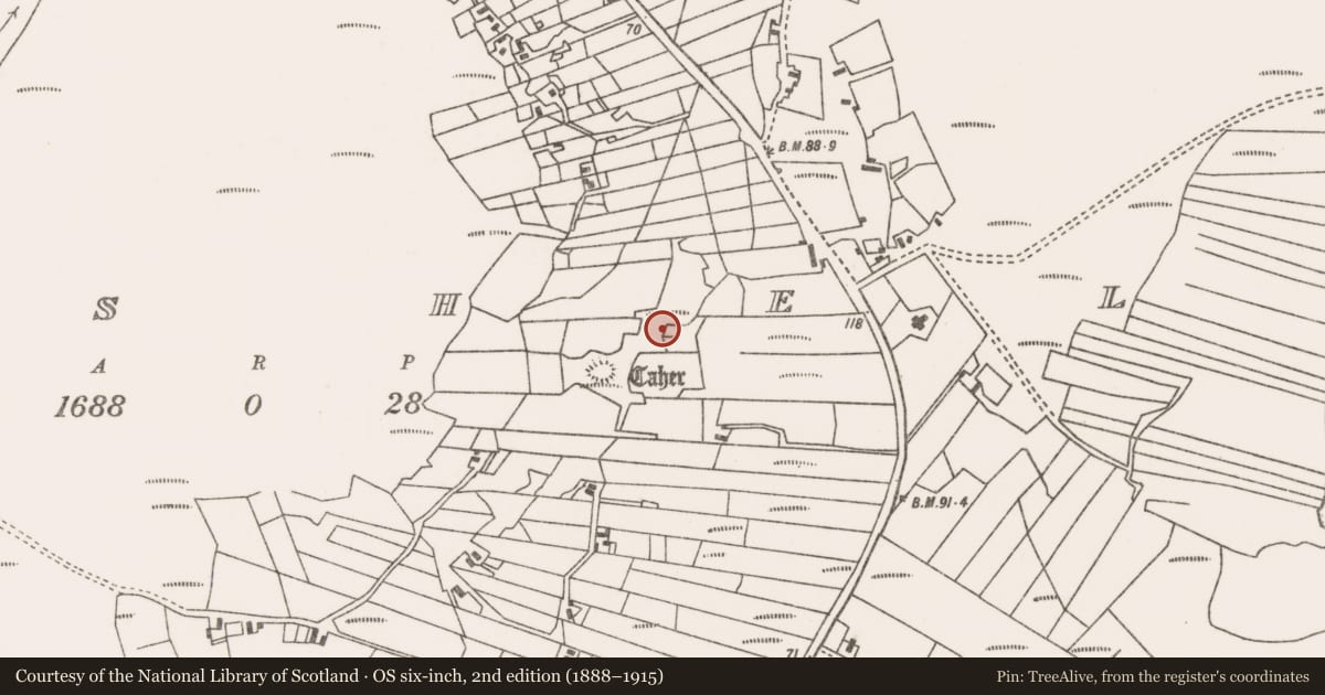 Ordnance Survey six-inch map, 2nd edition (1888–1915) covering the location of Children's burial ground, An Caiseal, County Mayo, with a pin at the register's coordinates