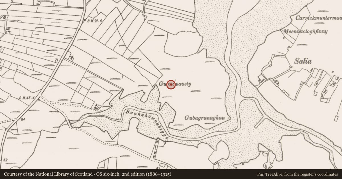 Ordnance Survey six-inch map, 2nd edition (1888–1915) covering the location of Children's burial ground, An Caiseal, County Mayo, with a pin at the register's coordinates