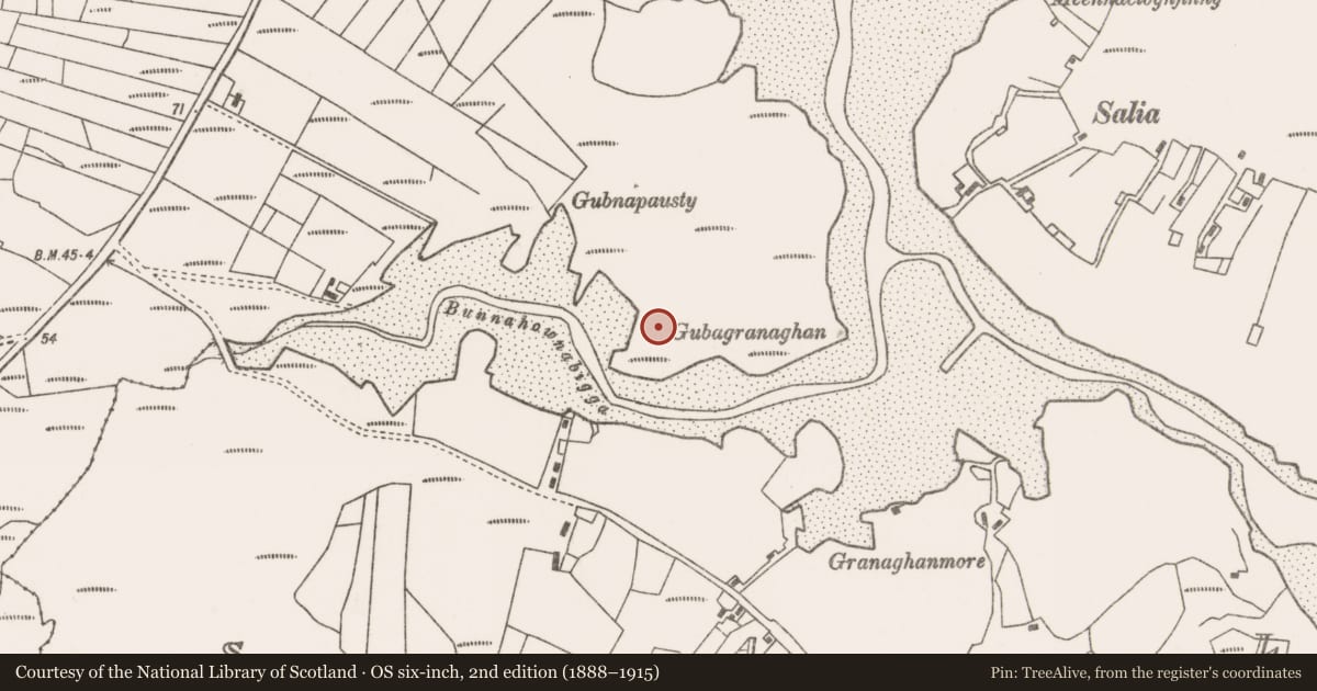 Ordnance Survey six-inch map, 2nd edition (1888–1915) covering the location of Children's burial ground, An Caiseal, County Mayo, with a pin at the register's coordinates