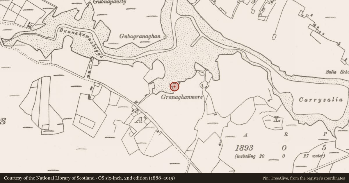 Ordnance Survey six-inch map, 2nd edition (1888–1915) covering the location of Promontory fort - coastal, Sáile, County Mayo, with a pin at the register's coordinates
