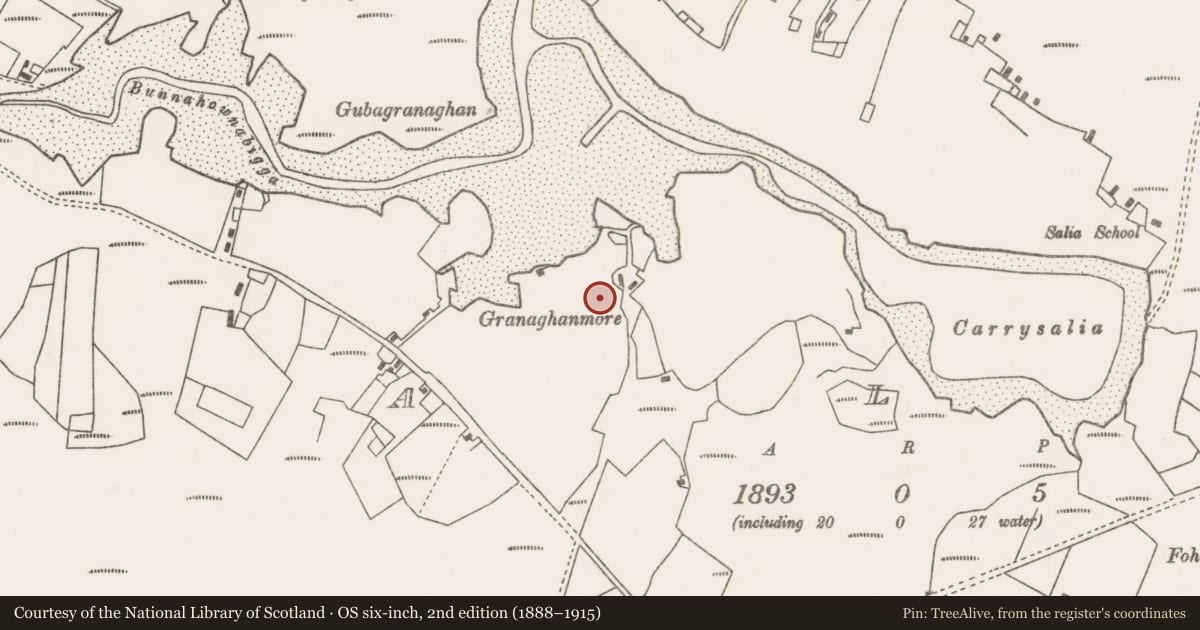 Ordnance Survey six-inch map, 2nd edition (1888–1915) covering the location of Children's burial ground, Sáile, County Mayo, with a pin at the register's coordinates