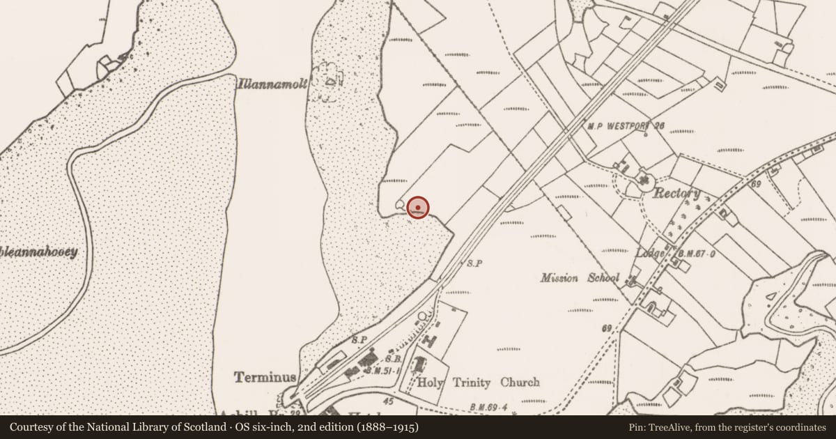 Ordnance Survey six-inch map, 2nd edition (1888–1915) covering the location of Field boundary, Poll Raithní (Sweeney), County Mayo, with a pin at the register's coordinates