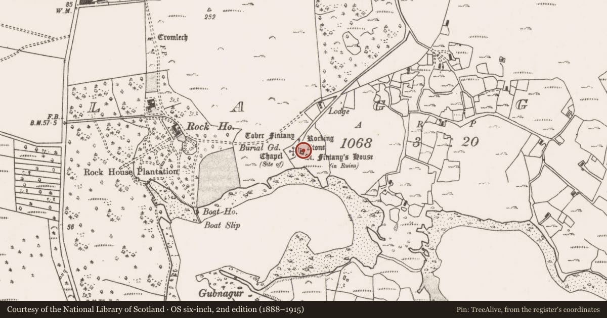 Ordnance Survey six-inch map, 2nd edition (1888–1915) covering the location of Bullaun stone, An Cloigeann, County Mayo, with a pin at the register's coordinates