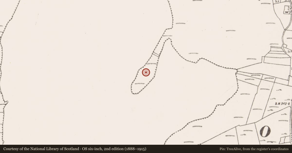 Ordnance Survey six-inch map, 2nd edition (1888–1915) covering the location of Promontory fort - inland, Treanbeg, County Mayo, with a pin at the register's coordinates