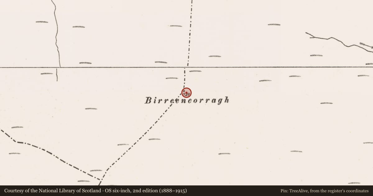 Ordnance Survey six-inch map, 2nd edition (1888–1915) covering the location of Cairn - burial cairn, Glendavoolagh, Glendorragha, County Mayo, with a pin at the register's coordinates