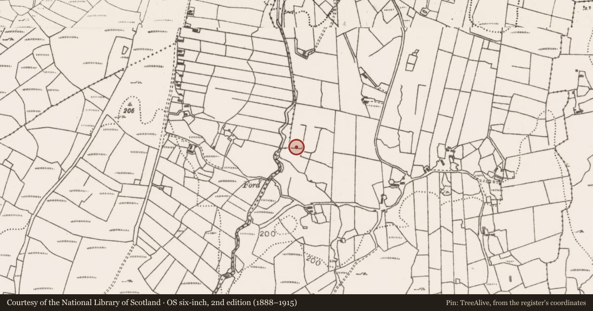 Ordnance Survey six-inch map, 2nd edition (1888–1915) covering the location of Enclosure, Massbrook South, County Mayo, with a pin at the register's coordinates