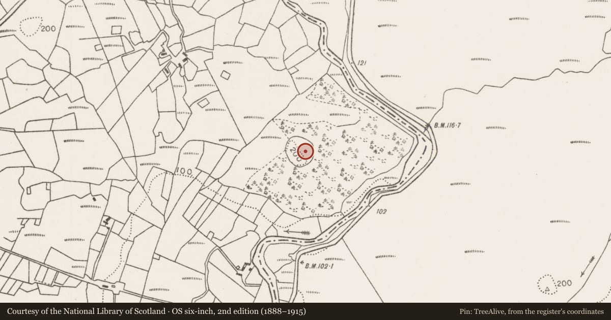 Ordnance Survey six-inch map, 2nd edition (1888–1915) covering the location of Hilltop enclosure, Bracklagh, County Mayo, with a pin at the register's coordinates