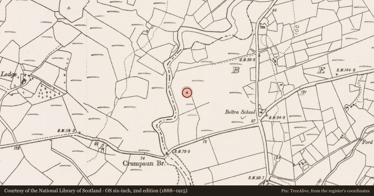 Ordnance Survey six-inch map, 2nd edition (1888–1915) covering the location of Crannog, Beltra, County Mayo, with a pin at the register's coordinates