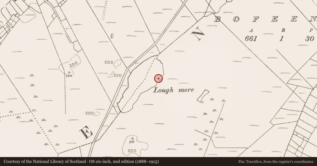 Ordnance Survey six-inch map, 2nd edition (1888–1915) covering the location of Fulacht fia, Bofeenaun, County Mayo, with a pin at the register's coordinates