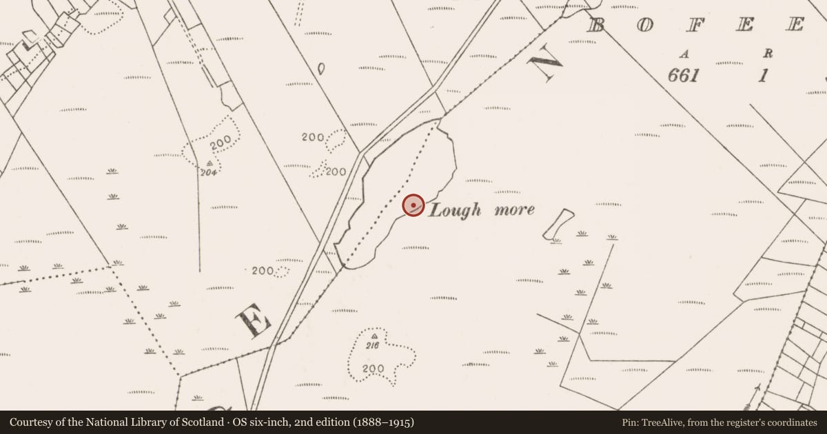Ordnance Survey six-inch map, 2nd edition (1888–1915) covering the location of Fulacht fia, Bofeenaun, County Mayo, with a pin at the register's coordinates