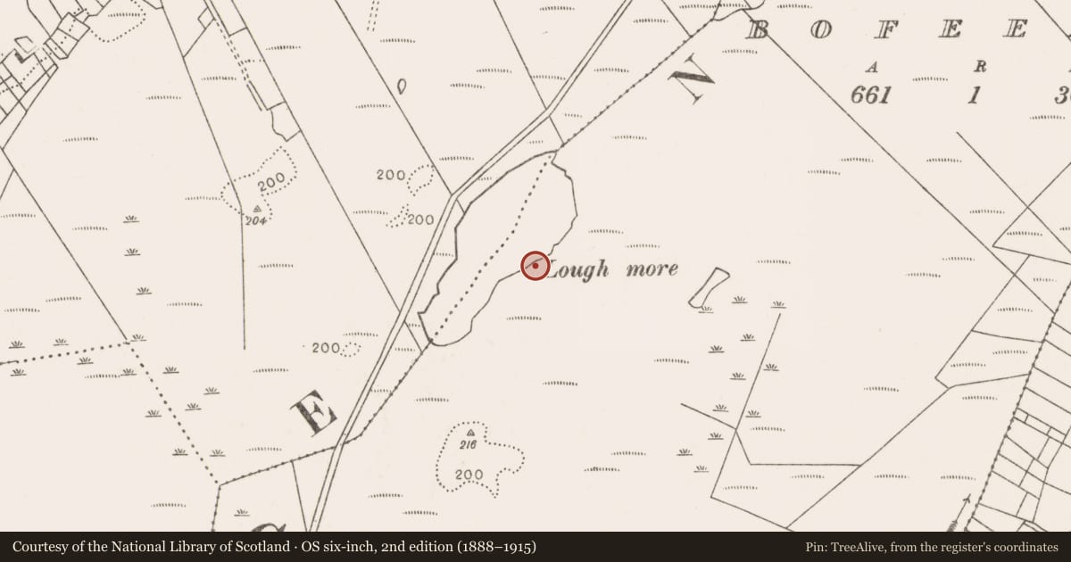 Ordnance Survey six-inch map, 2nd edition (1888–1915) covering the location of Structure, Bofeenaun, County Mayo, with a pin at the register's coordinates