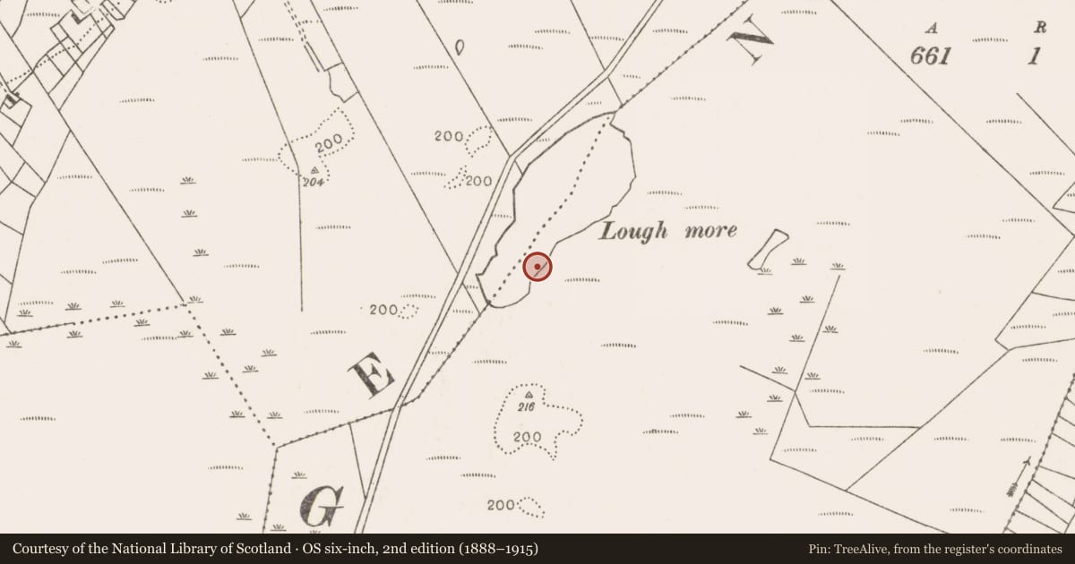Ordnance Survey six-inch map, 2nd edition (1888–1915) covering the location of Structure, Bofeenaun, County Mayo, with a pin at the register's coordinates