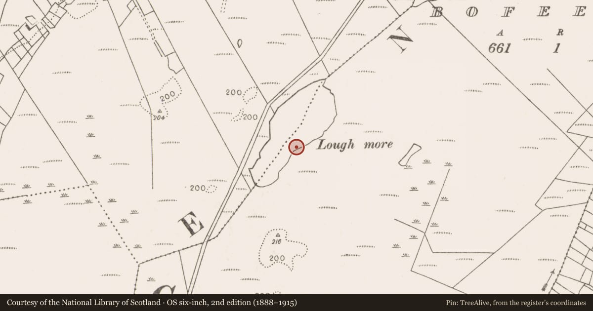 Ordnance Survey six-inch map, 2nd edition (1888–1915) covering the location of Structure, Bofeenaun, County Mayo, with a pin at the register's coordinates