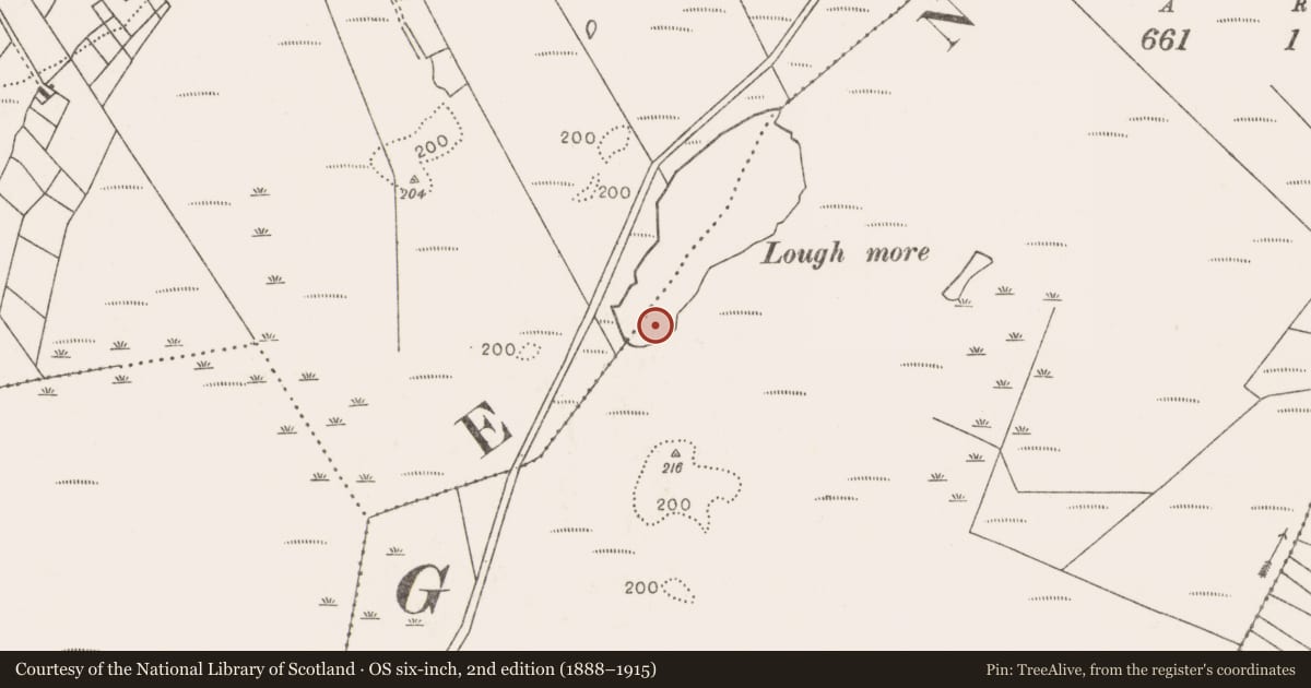 Ordnance Survey six-inch map, 2nd edition (1888–1915) covering the location of Post row - peatland, Bofeenaun, County Mayo, with a pin at the register's coordinates