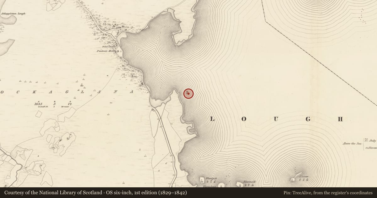 Ordnance Survey six-inch map, 1st edition (1829–1842) covering the location of Crannog, Lough Cullin, County Mayo, with a pin at the register's coordinates