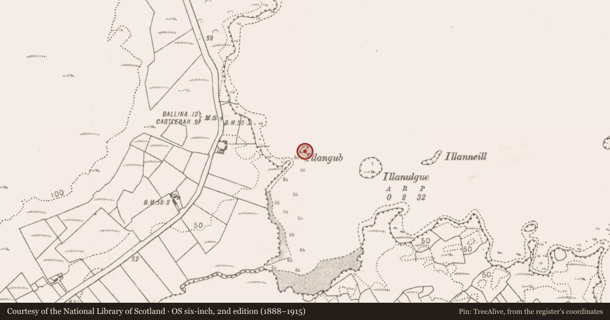 Ordnance Survey six-inch map, 2nd edition (1888–1915) covering the location of Crannog, Lough Cullin, County Mayo, with a pin at the register's coordinates