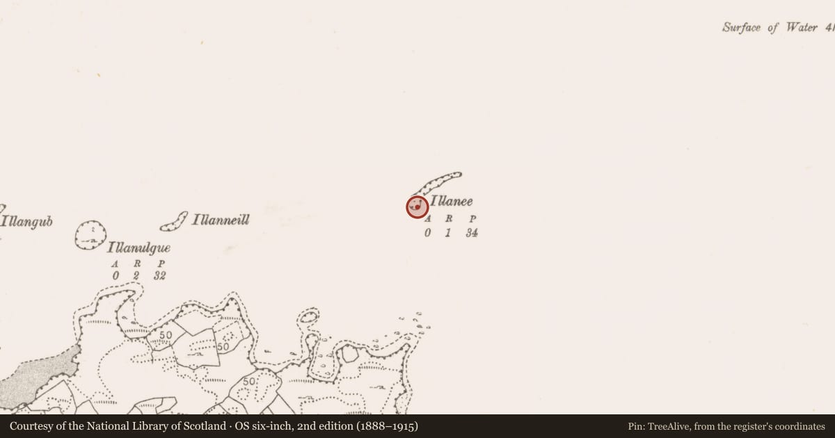Ordnance Survey six-inch map, 2nd edition (1888–1915) covering the location of Fortification, Illanee Island, County Mayo, with a pin at the register's coordinates