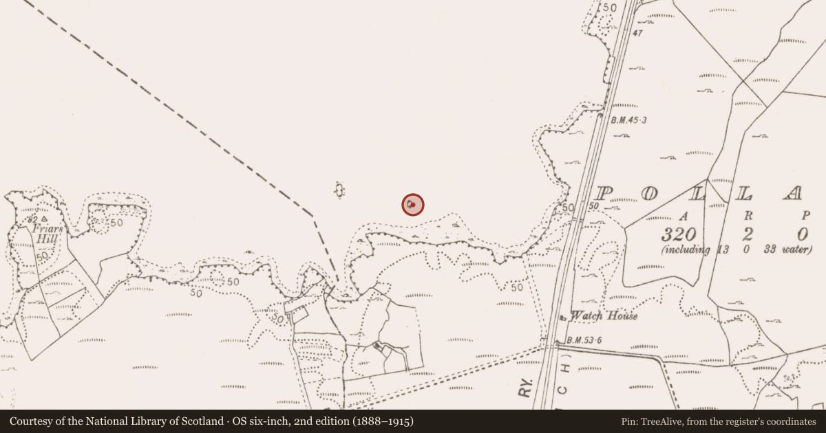 Ordnance Survey six-inch map, 2nd edition (1888–1915) covering the location of Crannog, Lough Cullin, County Mayo, with a pin at the register's coordinates