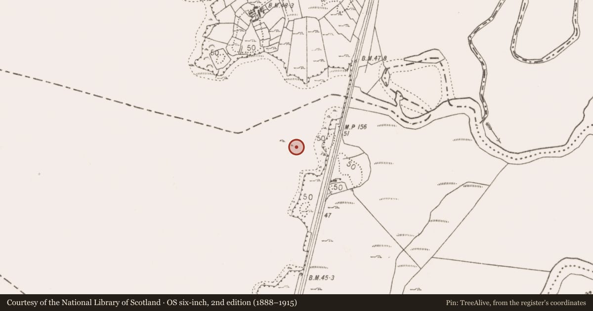 Ordnance Survey six-inch map, 2nd edition (1888–1915) covering the location of Crannog, Lough Cullin, County Mayo, with a pin at the register's coordinates