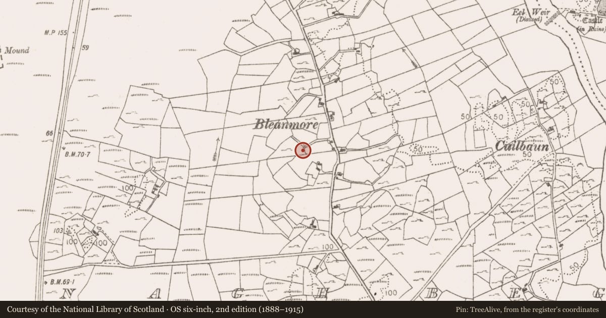 Ordnance Survey six-inch map, 2nd edition (1888–1915) covering the location of Ringfort - rath, Tawnagh Beg, County Mayo, with a pin at the register's coordinates