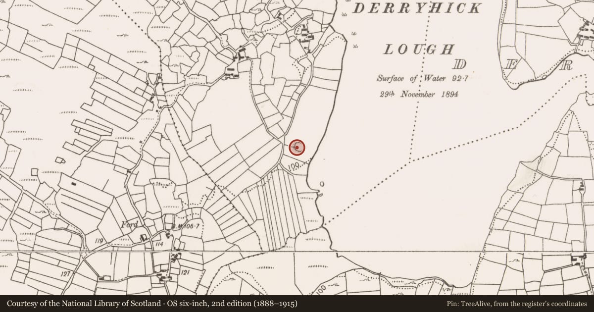 Ordnance Survey six-inch map, 2nd edition (1888–1915) covering the location of Souterrain, Crillaun, County Mayo, with a pin at the register's coordinates