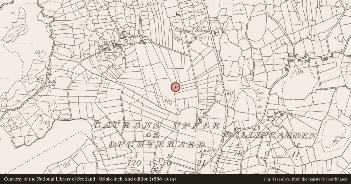 Ordnance Survey six-inch map, 2nd edition (1888–1915) covering the location of Ringfort - rath, Caurans Lower, County Mayo, with a pin at the register's coordinates