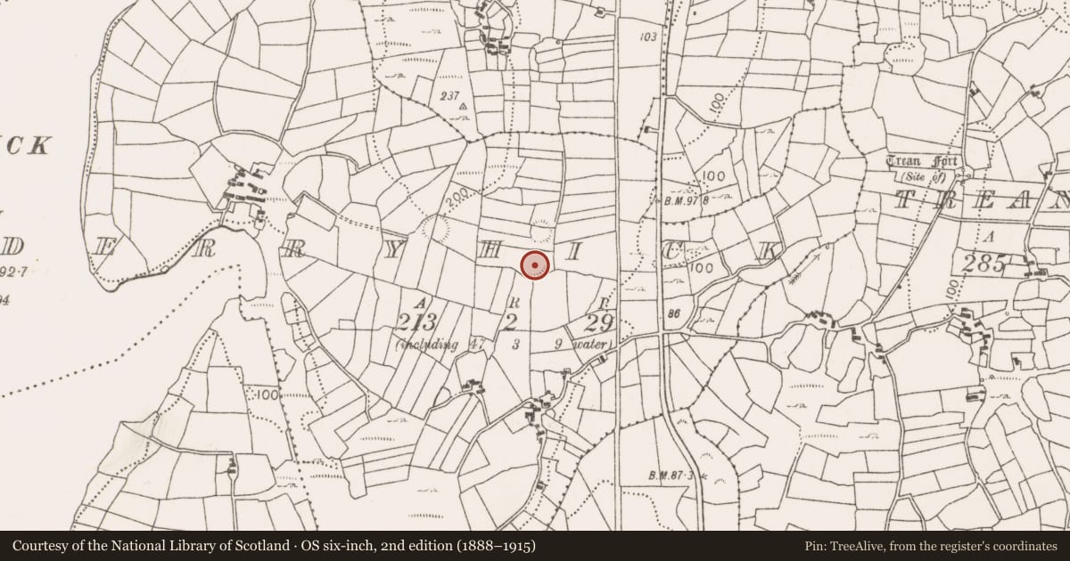 Ordnance Survey six-inch map, 2nd edition (1888–1915) covering the location of Ringfort - rath, Derryhick, County Mayo, with a pin at the register's coordinates