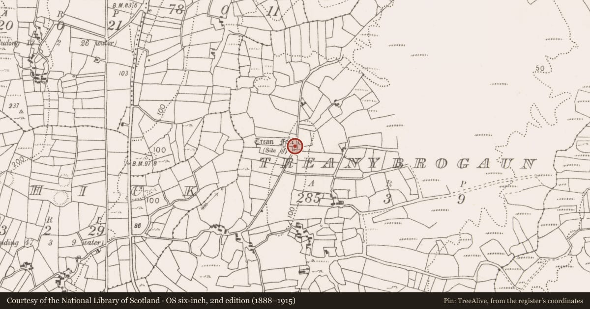 Ordnance Survey six-inch map, 2nd edition (1888–1915) covering the location of Ringfort - unclassified, Treanybrogaun, County Mayo, with a pin at the register's coordinates