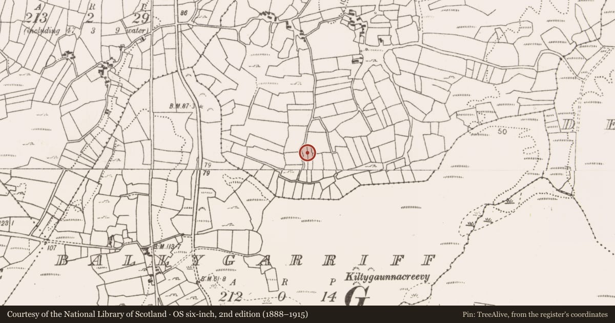 Ordnance Survey six-inch map, 2nd edition (1888–1915) covering the location of Ringfort - unclassified, Treanybrogaun, County Mayo, with a pin at the register's coordinates