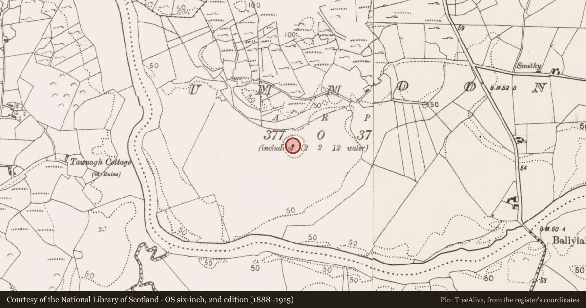 Ordnance Survey six-inch map, 2nd edition (1888–1915) covering the location of Ringfort - rath, Ummoon, County Mayo, with a pin at the register's coordinates