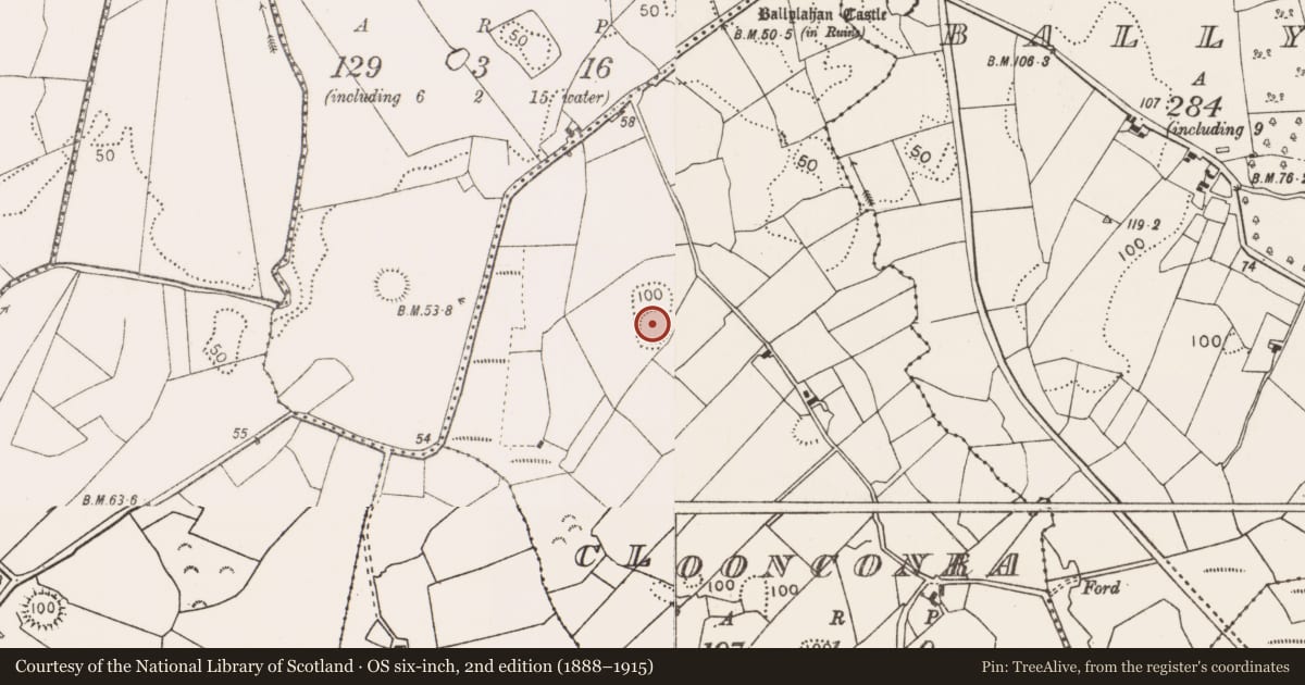 Ordnance Survey six-inch map, 2nd edition (1888–1915) covering the location of Ringfort - rath, Cloonconra, County Mayo, with a pin at the register's coordinates