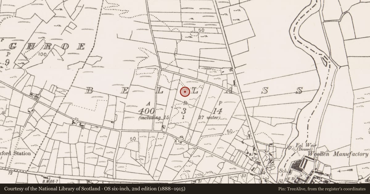 Ordnance Survey six-inch map, 2nd edition (1888–1915) covering the location of Field boundary, Bellass, County Mayo, with a pin at the register's coordinates