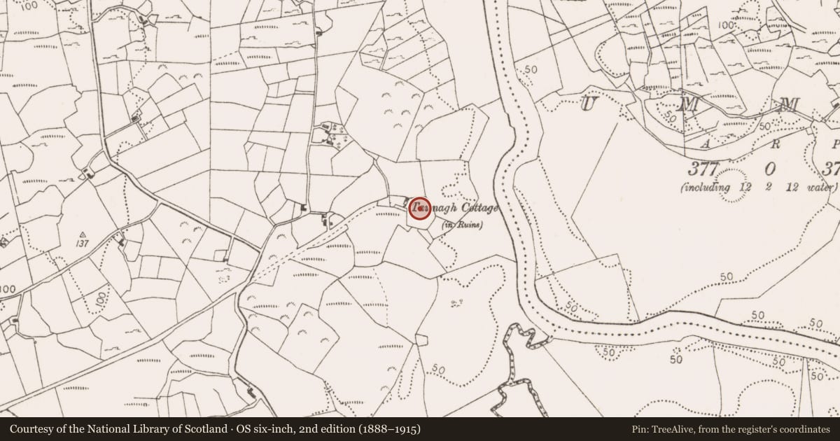 Ordnance Survey six-inch map, 2nd edition (1888–1915) covering the location of Enclosure, Tawnagh Beg, County Mayo, with a pin at the register's coordinates