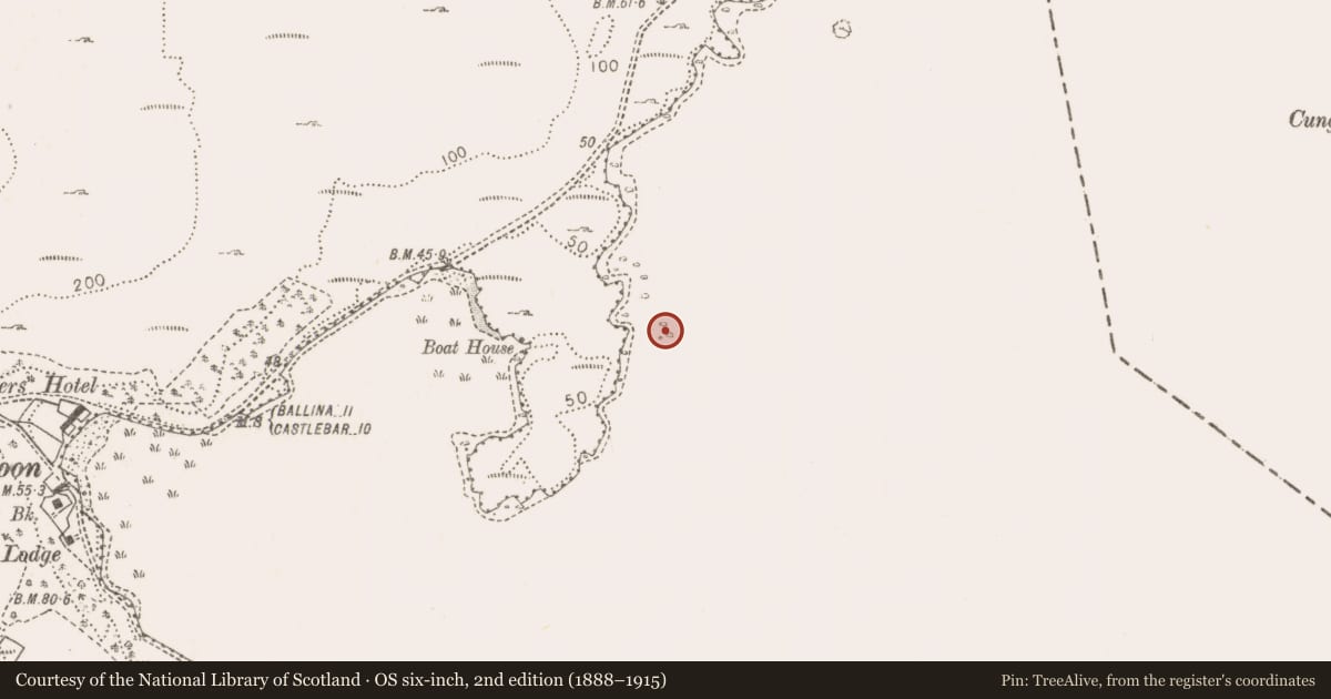 Ordnance Survey six-inch map, 2nd edition (1888–1915) covering the location of Crannog, Lough Cullin, County Mayo, with a pin at the register's coordinates