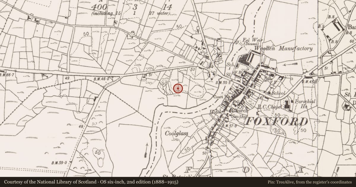 Ordnance Survey six-inch map, 2nd edition (1888–1915) covering the location of Children's burial ground, Bellass, County Mayo, with a pin at the register's coordinates