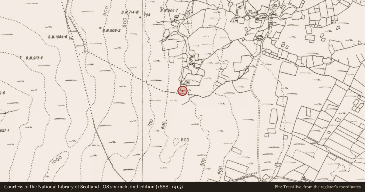Ordnance Survey six-inch map, 2nd edition (1888–1915) covering the location of Hut site, Largan, County Mayo, with a pin at the register's coordinates