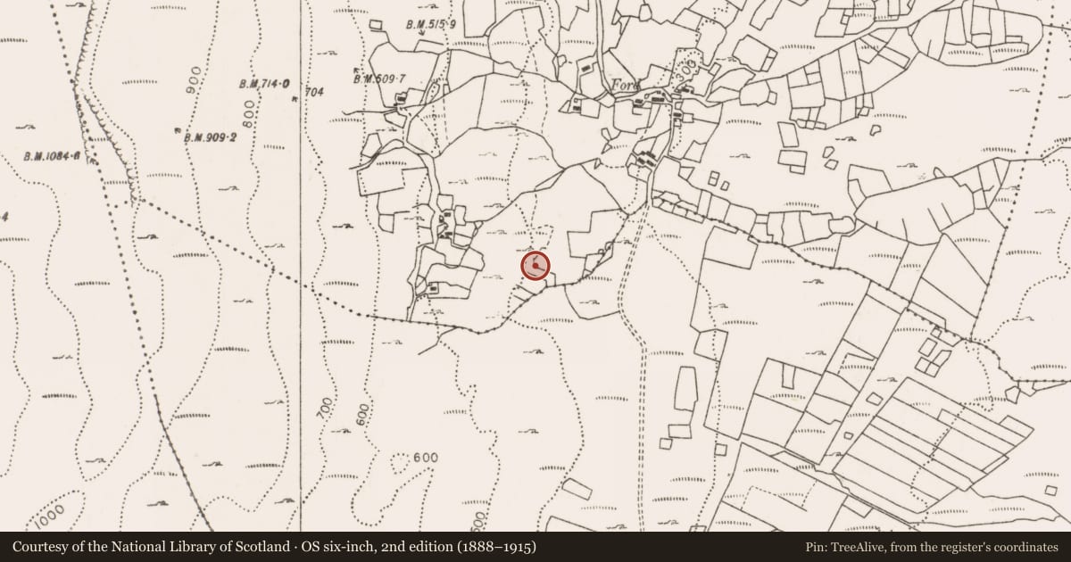 Ordnance Survey six-inch map, 2nd edition (1888–1915) covering the location of Hut site, Largan, County Mayo, with a pin at the register's coordinates